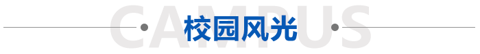 安博app官方下载